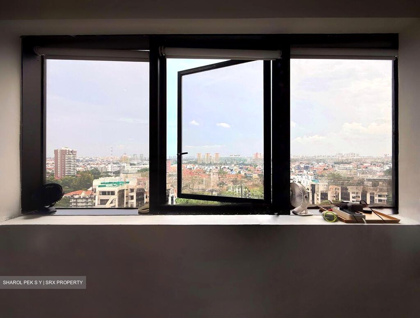 Bayshore Park (D16), Condominium #451844501